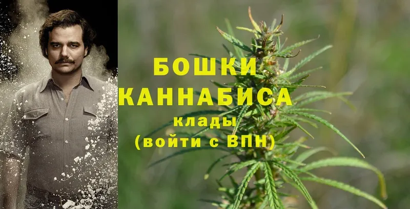 Марихуана OG Kush  что такое наркотик  Балашов 